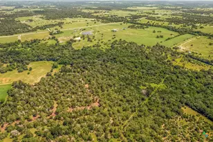 337 Private Rd 1015, Hallettsville, TX 77964 - Photo 18