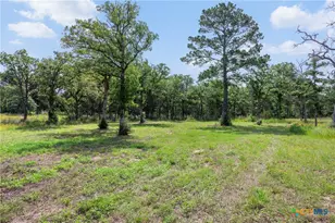 305 Cistern Rd, Rosanky, TX 78953 - Photo 6