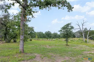 305 Cistern Rd, Rosanky, TX 78953 - Photo 8