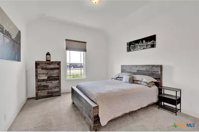 10696 Chestnut Warbler, New Braunfels, TX 78132 - Photo 34