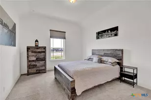 10696 Chestnut Warbler, New Braunfels, TX 78132 - Photo 34