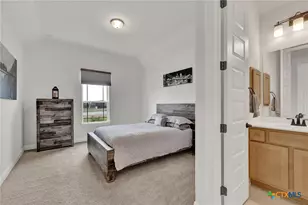 10696 Chestnut Warbler, New Braunfels, TX 78132 - Photo 30