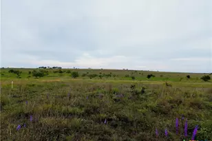 000 County Road 2109, Lampasas, TX 76550 - Photo 4