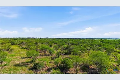 00 Franke Rd, Goliad, TX 77963 - Photo 8