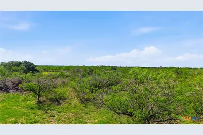 00 Franke Rd, Goliad, TX 77963 - Photo 4
