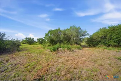 00 Franke Rd, Goliad, TX 77963 - Photo 6