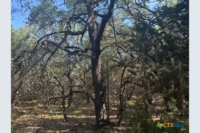 Tbd County Road 2644, Lometa, TX 76853 - Photo 4