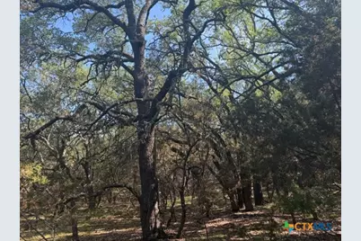 Tbd County Road 2644, Lometa, TX 76853 - Photo 8