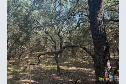 Tbd County Road 2644, Lometa, TX 76853 - Photo 6