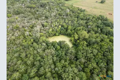 Tbd County Road 315, Yoakum, TX 77995 - Photo 4