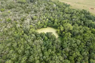 Tbd County Road 315, Yoakum, TX 77995 - Photo 4
