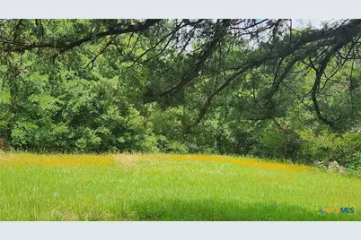 108 Private Road 1102, Streetman, TX 75859 - Photo 46
