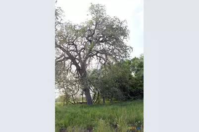 3223 Old Kelley Road, Lockhart, TX 78644 - Photo 10