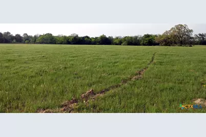 3223 Old Kelley Road, Lockhart, TX 78644 - Photo 8