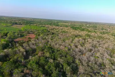 3223 Old Kelley Road, Lockhart, TX 78644 - Photo 30
