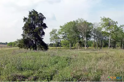 3223 Old Kelley Road, Lockhart, TX 78644 - Photo 6