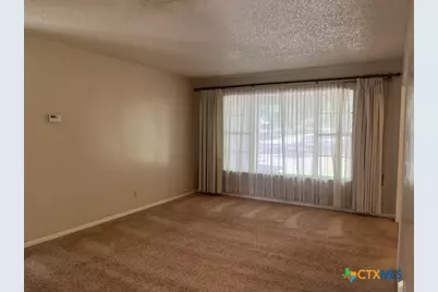 311 Cindy Drive, Canyon Lake, TX 78133 - Photo 4