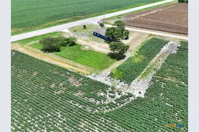 7296 Fm 234, El Toro, TX 77957 - Photo 4
