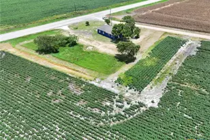 7296 FM 234, El Toro, TX 77957 - Photo 4