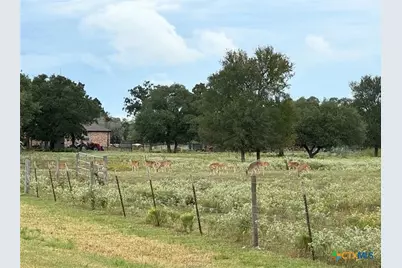 1102 Private Road 2332, Giddings, TX 78942 - Photo 40