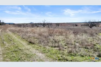 4748 Cr 3300, Kempner, TX 76539 - Photo 8