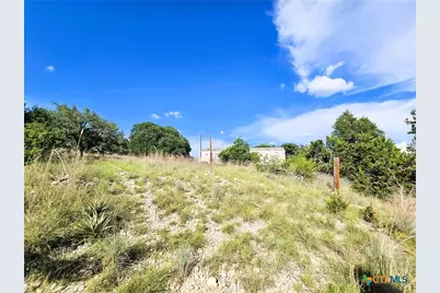100 Reavis Drive, Kempner, TX 76539 - Photo 22