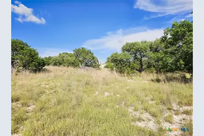 100 Reavis Drive, Kempner, TX 76539 - Photo 16