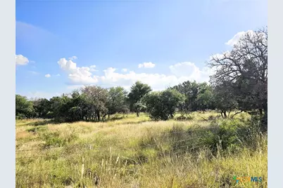 100 Reavis Drive, Kempner, TX 76539 - Photo 26