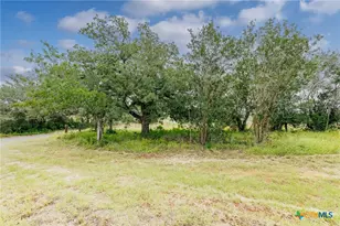 51 County Rd 471, Nixon, TX 78140 - Photo 2