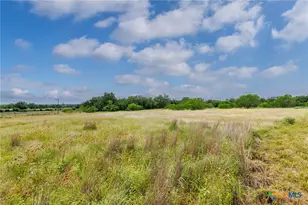 51 County Rd 471, Nixon, TX 78140 - Photo 6