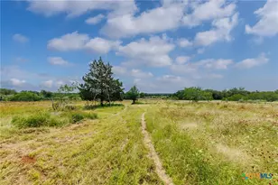 51 County Rd 471, Nixon, TX 78140 - Photo 4