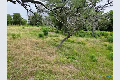 532 25th Avenue, Belton, TX 76513 - Photo 8