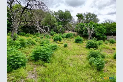 532 25th Avenue, Belton, TX 76513 - Photo 10