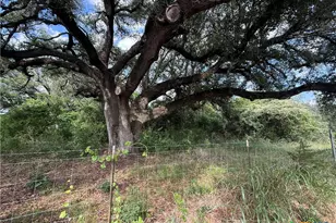 16350 Cedar Valley Rd, Salado, TX 76571 - Photo 40