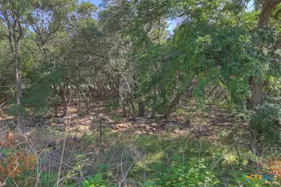 3055 Lakeview Drive, Canyon Lake, TX 78133 - Photo 38