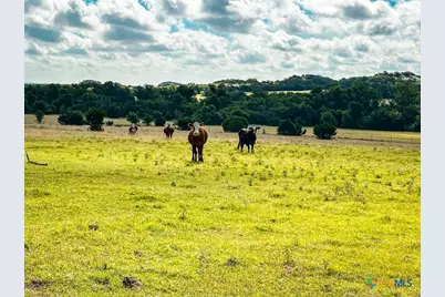 2445 Fm 116, Gatesville, TX 76528 - Photo 16