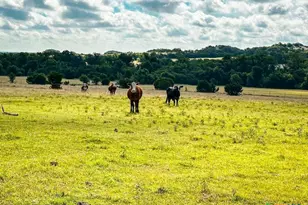 2445 Fm 116, Gatesville, TX 76528 - Photo 16