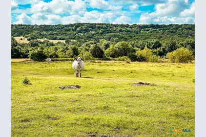 2445 Fm 116, Gatesville, TX 76528 - Photo 40