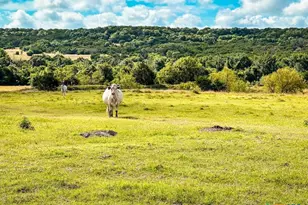 2445 Fm 116, Gatesville, TX 76528 - Photo 40