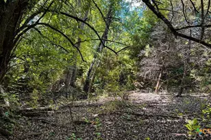 2445 Fm 116, Gatesville, TX 76528 - Photo 20