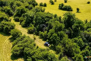 2445 Fm 116, Gatesville, TX 76528 - Photo 6