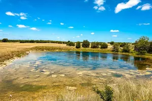 Tbd Fm 116, Gatesville, TX 76528 - Photo 42