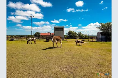 2445 Fm 116, Gatesville, TX 76528 - Photo 46
