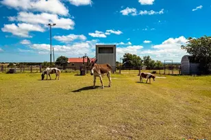 2445 Fm 116, Gatesville, TX 76528 - Photo 46