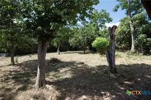 306 Orchard St, San Marcos, TX 78666 - Photo 6