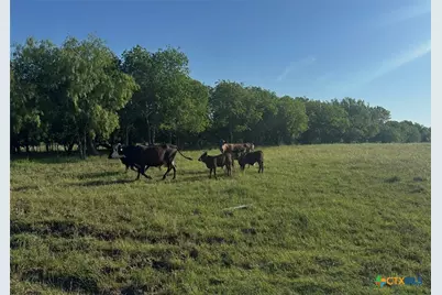 682 W Somers Lane, Axtell, TX 76624 - Photo 26