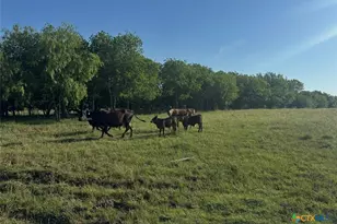 682 W Somers Ln, Axtell, TX 76624 - Photo 26