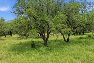 1360 W US Hwy 84, Mullin, TX 76864 - Photo 24