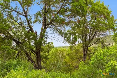 11551 Ranch Rd 12, Wimberley, TX 78676 - Photo 12