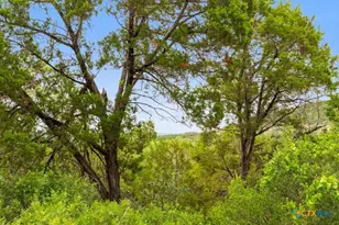 11551 Ranch Rd 12, Wimberley, TX 78676 - Photo 12
